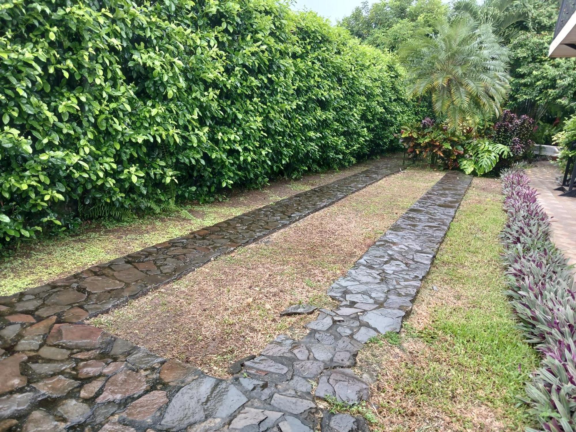 San Gabriel Apartments La Fortuna Εξωτερικό φωτογραφία